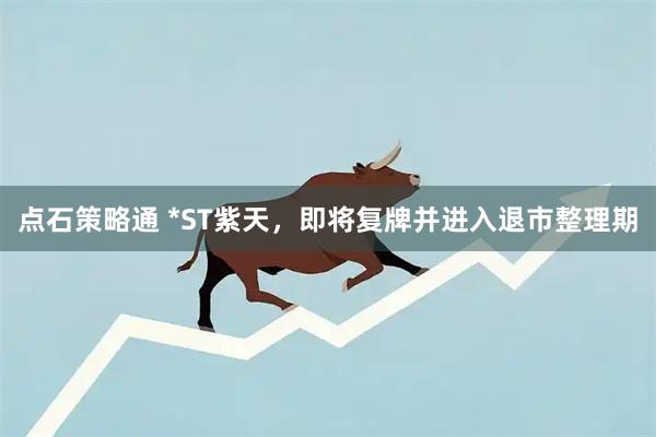 点石策略通 *ST紫天，即将复牌并进入退市整理期