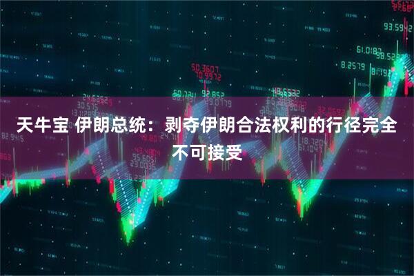 天牛宝 伊朗总统：剥夺伊朗合法权利的行径完全不可接受