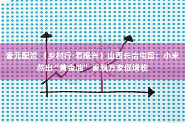壹元配资 （乡村行·看振兴）山西长治屯留：小米熬出“黄金油” 香飘万家促增收